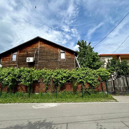 ❆Cozy, 4 Br. Villa In Ananuri❆ Bagian luar foto